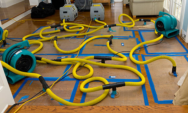 Professional Crawl Space Water Removal technician working in Duxbury, MA